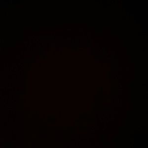 Meet your Posher, Leila